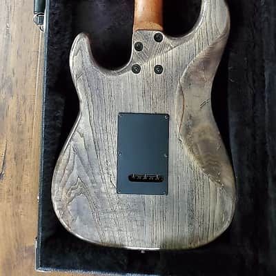 Kiesel Delos 2019 image 2