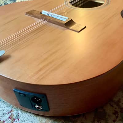 Carvalho Guitar-Bouzouki with pickup & case image 3