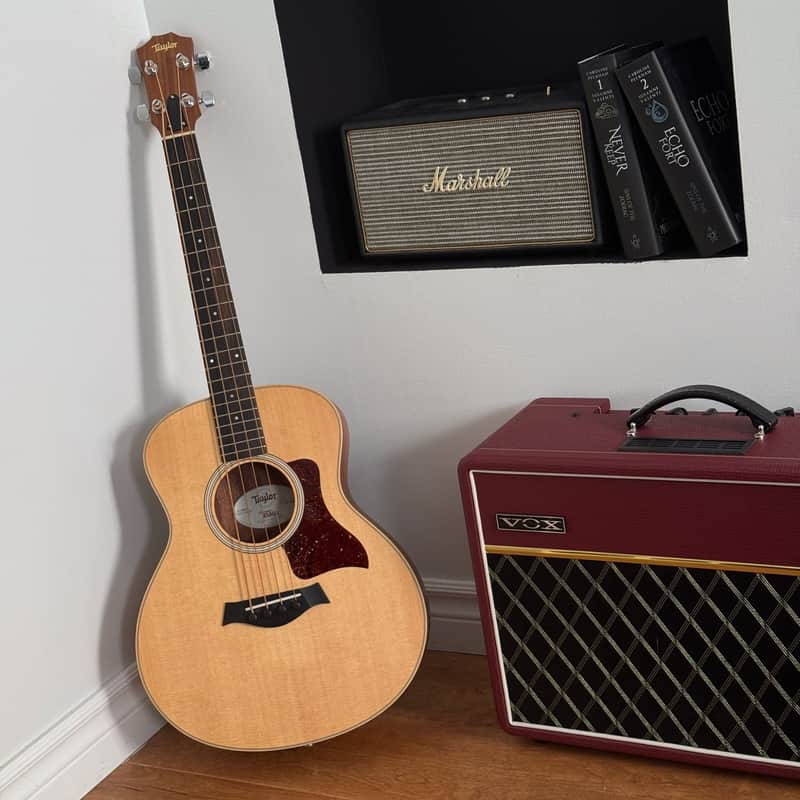 Taylor GS Mini-e Acoustic Bass w/Gigbag image 1