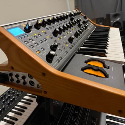 Moog Subsequent 37 Analog Synth 2017 - Present - Black image 5