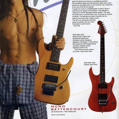 Washburn N2 1996 image 25