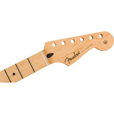 Fender Player Series Stratocaster® Neck, 22 Medium Jumbo Frets, 9.5" Radius image 3