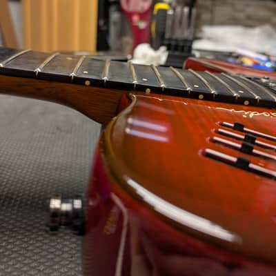 Godin xtSA 2006 - Light Burst with OHSC image 20
