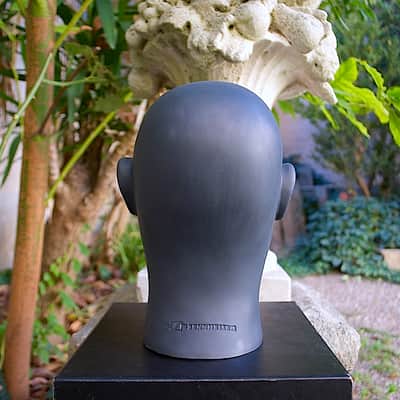 Sennheiser MKE 2002 complete binaural recording microphones system - very rare image 5