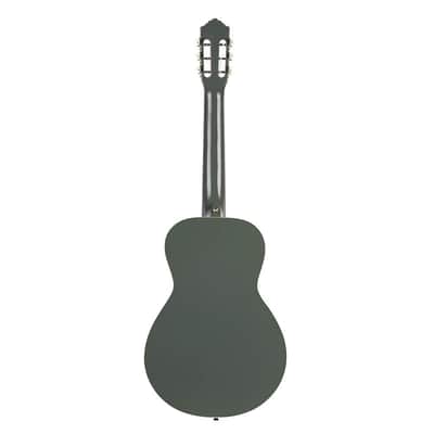 Ortega Guitars 6 Gaucho Series Nylon String Parlor Guitar w/Bag, Right, Platinum Grat (RGA-PLT) image 7