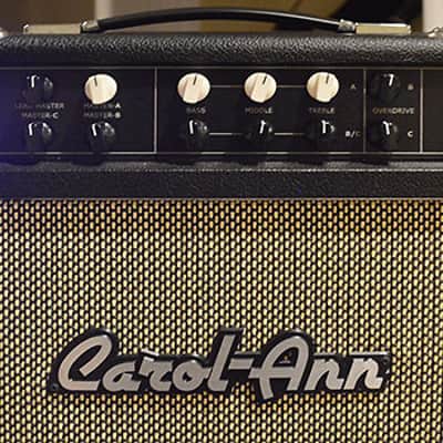Carol-Ann Tucana 3R Combo + custom road case (2015) image 6