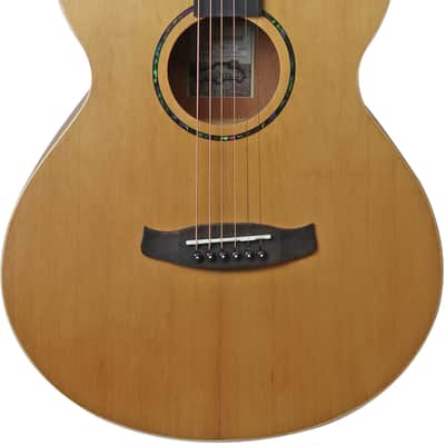 Tanglewood TWR20 Roadster Folk Acoustic Guitar image 1