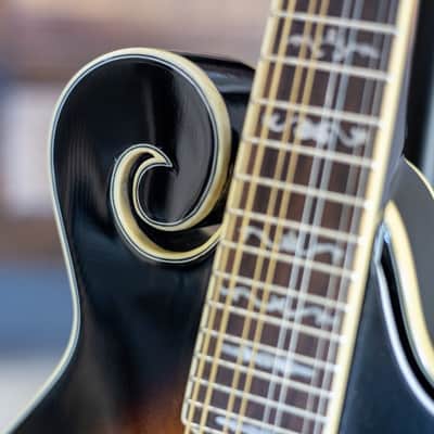 Goldtone GM-35 F-Style Mandolin w/case image 18