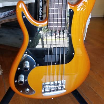 Regenerate Guitar Works Left Handed 5 String Bass. Boutique Builder from Oregon, USA. image 2