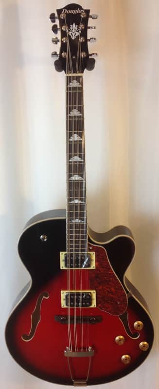 Douglas / MORTone Hollow body 8 string electric mandocello , guitar conversion image 1