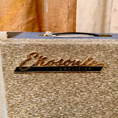 Ekosonic Mod 98 Tube Amplifier Made in Italy Circa 1950's - Two Tone Blue M image 2