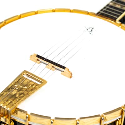 Bacon & Day Silver Bell Banjo Owned by Brian Setzer image 5
