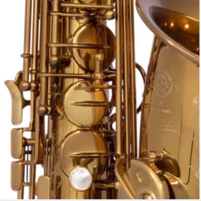 Selmer Limited Edition Selmer Paris Signature New York City Model Alto Saxophone 2026 - Elkhart Dark Lacquer image 16
