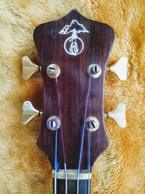 Alembic Series 1 1975 Zebrawood image 1