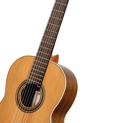 Ortega R20GWN Traditional Series Solid Cedar Top Mahogany Neck Nylon 6-String Classical Acoustic Guitar w/Gig Bag image 8