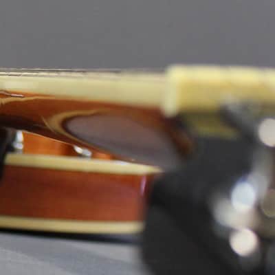 Epiphone Stagebird 6 String Electric Banjo image 5