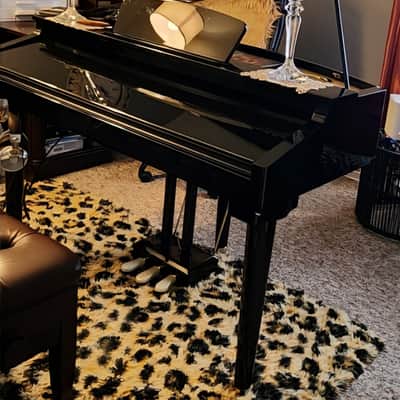 Immagine Williams Audio Symphony Grand II - Gloss Black - 2