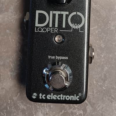 TC Electronic Ditto Looper Bild 3