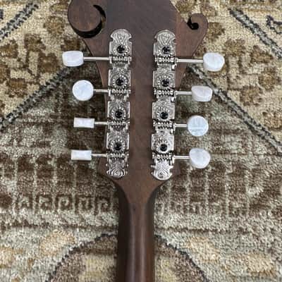 Eastman MD315 F-Style Mandolin w/ Padded Gig Bag & Free Pro Setup image 8