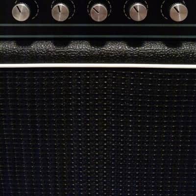 Acoustic B20 Bass Amp 20w 1x12 image 3