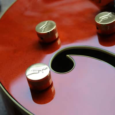 GRETSCH G6120DE Duane Eddy Signature Hollow Body Desert Sunrise, Hardcase, Papers, 3, 18 KG image 14