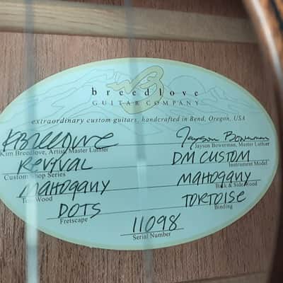 Breedlove Revival USA Custom Shop hog top Dread image 3