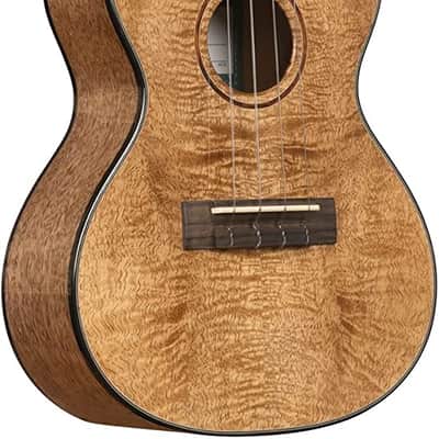 Kala Metropolitan Series, 4-String Ukulele, Concert KA-MNGG-C-W-Bag image 1