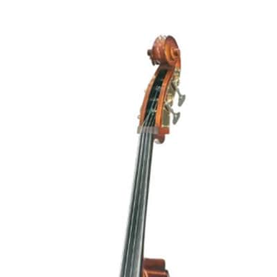 Immagine Stentor 1951F Stentor Student Bass. 1/4, New, Free Shipping, Authorized Dealer - 2