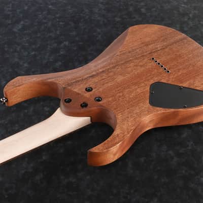 Ibanez RG421-MOL E-Git. Mahogany Oil image 2