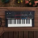 Moog Realistic Concertmate MG-1