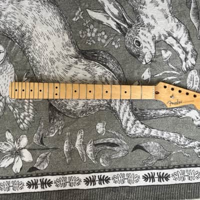 2009 Fender Stratocaster American Standard Maple Neck USA image 1