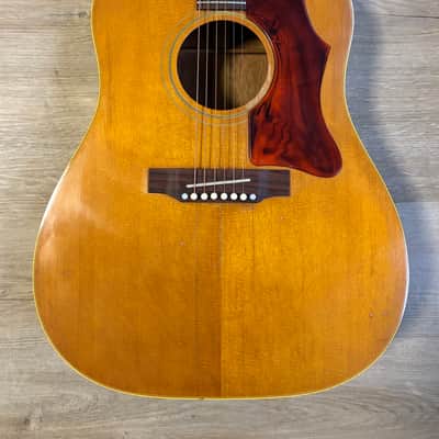 Gibson J-50 1968/69 image 2