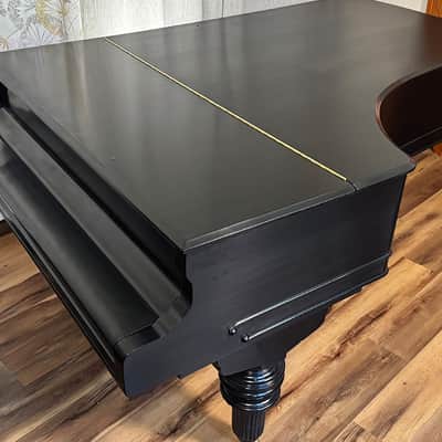 Steinway & Sons Art-Case Model C 1877 - Ebony Satin image 20