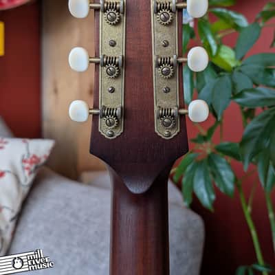 Iris Guitars RCM-000 Burst Acoustic guitar w Hard Case image 6