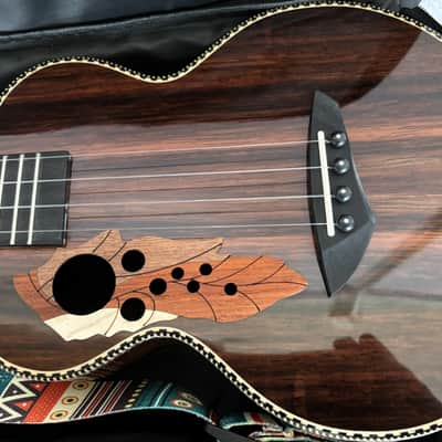 Black Ebony Concert Ukulele, Gorgeous High Gloss, 23" + Accessories image 2