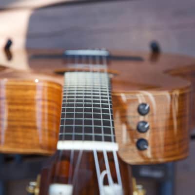 Taylor Jason Mraz Signature Model (JMSM) image 16