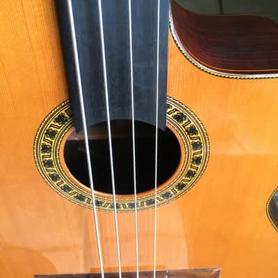 LaBella ABE 100 FC Fretless Acoustic Bass image 12