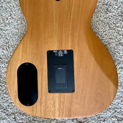 Fender Highway Series Acoustic Electric Parlor Performance Guitar with gig Bag image 3