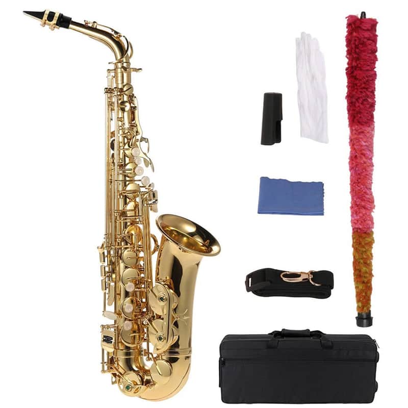 Beginner Student Alto Saxophone Sax Gold with Case Mouthpiece Accessories L6K3 image 1