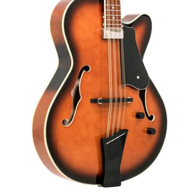 Gold Tone Acoustic Electric Mandocello, Mandolin Cello Hybrid Instrument w/Case image 11