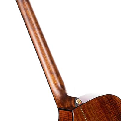 Cort LUXEII Luxe Series Frank Gambale Concert Body Mahogany Nek 6-String Acoustic-Electric Guitar w/Hard Case image 16