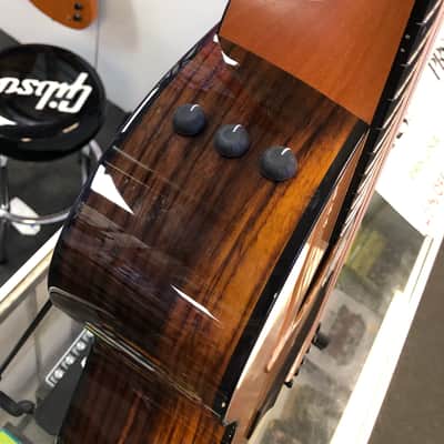 Taylor 254ce Plus 12 String Acoustic Electric with Case - Pre Owned image 11