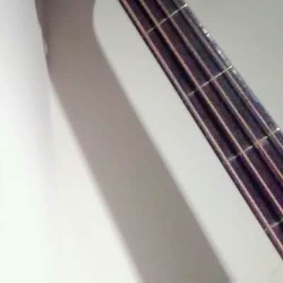 Gibson "Style-J" Mando-bass  1919. With Original Canvas Bag and "Orientation" Pegs! image 9
