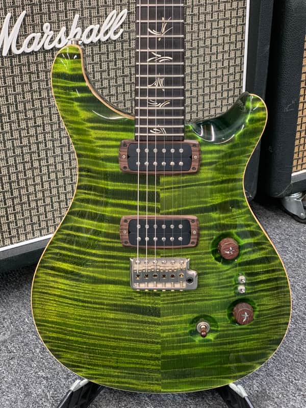 PRS Brushstroke 24 2014 - Green image 1