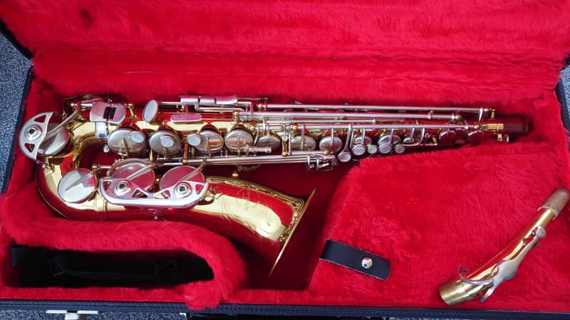 Borgani Vintage Alto Saxophone 1980 - Gold Lacquer with Nickel Silver Keys image 1