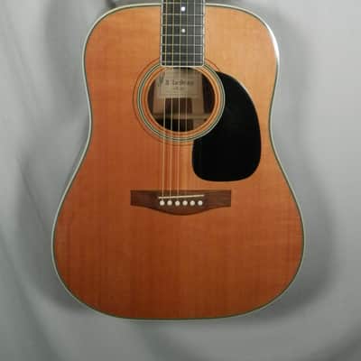 A LoPrinzi LR-20 Dreadnought Acoustic Guitar with case used image 10