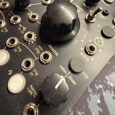Endorphin.es Blck_Noir Eurorack Synth Module 2018 - Present - Black image 3