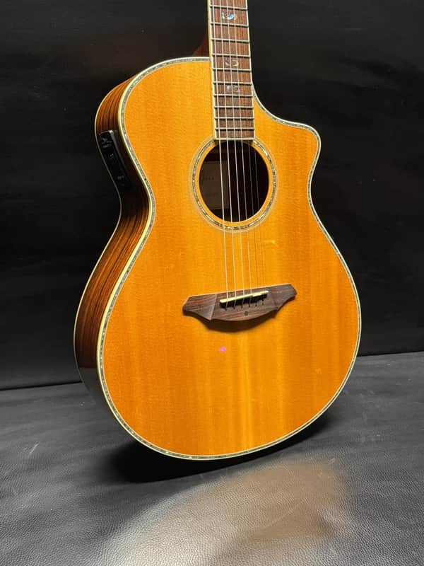 Breedlove AC25/SR Plus Natural | Reverb Canada