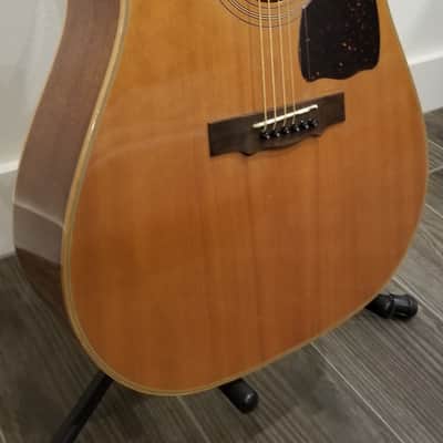 Immagine Hohner HG-905 - 3
