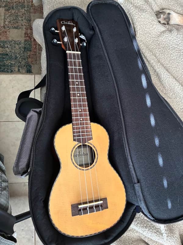 Cordoba 22S Soprano Ukulele 2010s - Indian Rosewood image 1